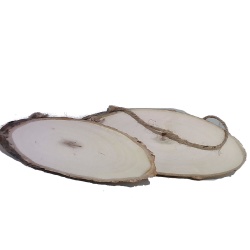 Craftwood 21x8.5x0.9cm. Oval Plaque w/ Jute Cord