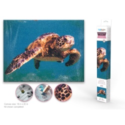 Diamond Painting Art Kit 15.8x19.7" w/Gems+Tool+Tray H) Sea Turtle"