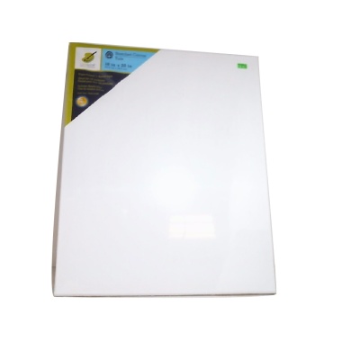 Stretch Artist Canvas 16x 20 Primed Backed Stapled