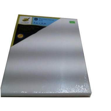 Stretch Artist Canvas 9x 12 Primed Back-Stapled