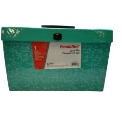 Case File 19 Pockets Pre-Printed Tabs Pendaflex