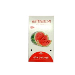Watermelon Seed Starter Kit Grow Your Own