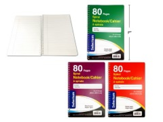 6x9 Coil Ex.Book 80 Page 3 Assorted Ruled Paper\