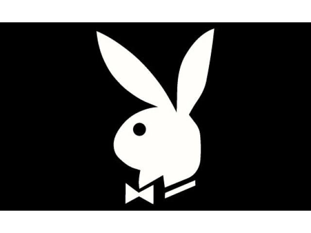 Flag Playboy 3x5 polyester with metal grommets