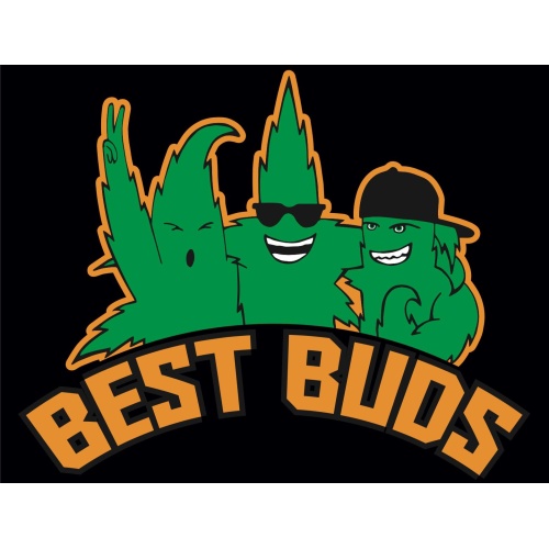 T-Shirt with print - Best Buds - L