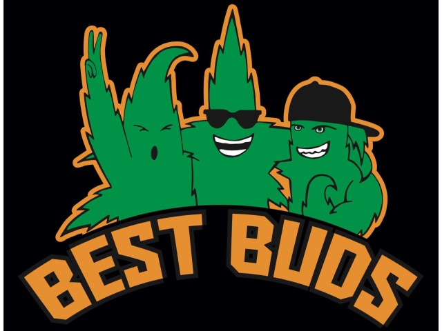 T-Shirt with print - Best Buds - XXL
