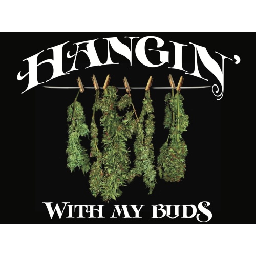 T-Shirt with print - Hanging Buds - XXL