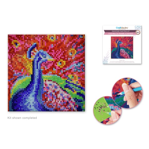 Craft Medley Kit: DIY Diamond Painting Kit D) Peacock