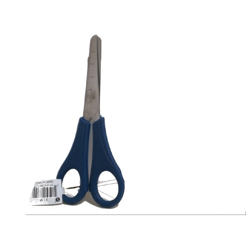 Scissors Small 5 Blunt Tip Blue Plastic Handle