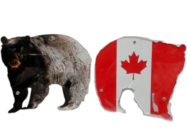 Magnet Bear/Canada Flag 3x4\