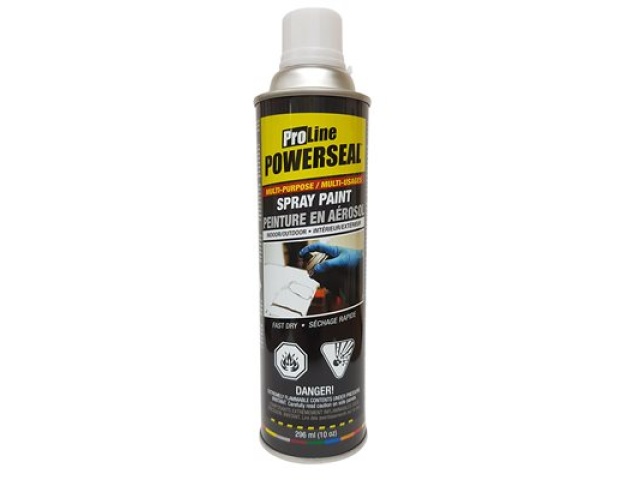 Spray Paint flat black Powerseal