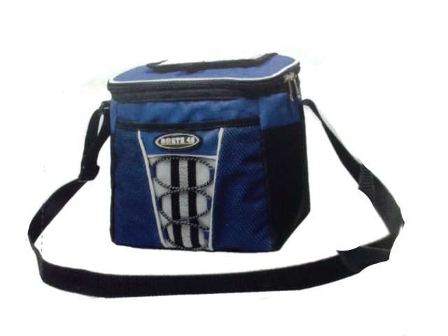 Glacial Cooler bag blue/grey 9 cans 7.75x10x8.5 inch 19.5x25.5x21.5cm