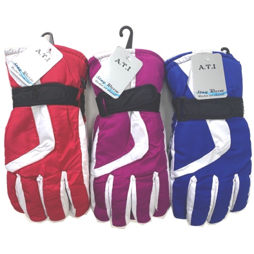 Ski Gloves Ladies Asst.