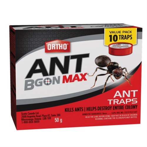 Ant B Gon Max Ant Traps 5g 10 / Pkg
