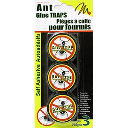 ant traps