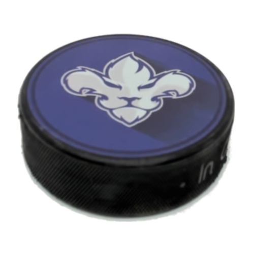 Hockey Puck Lions  12 for $9.99