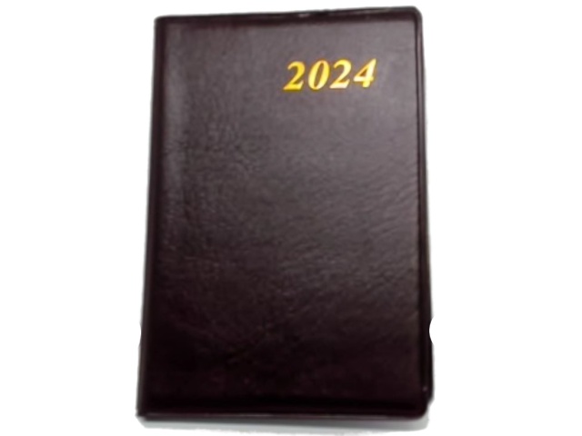 Daily Planner 2024 3 X 4.25\