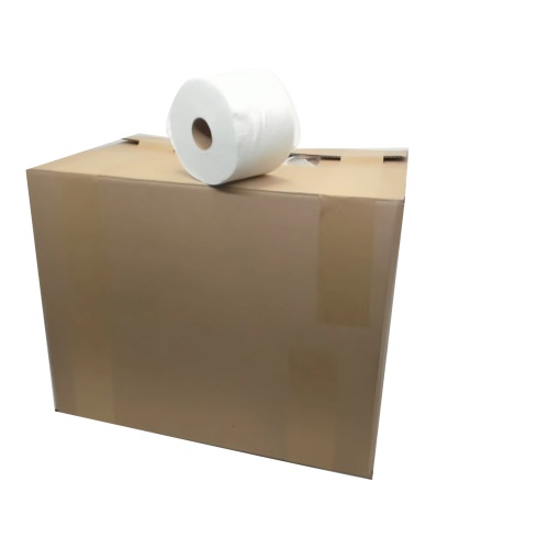Toilet Paper 2 Ply 48 Giant Rolls 244 Sheets/Roll
