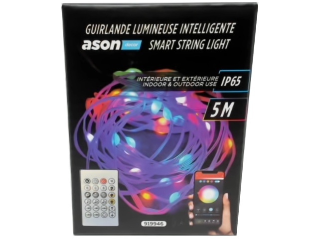 Smart String Light 5m 33 LED Indoor/Outdoor Ason Décor