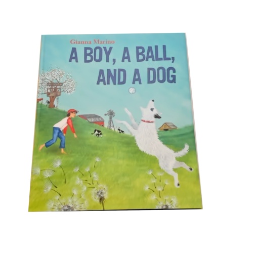 Book a Boy, A Ball, And A Dog