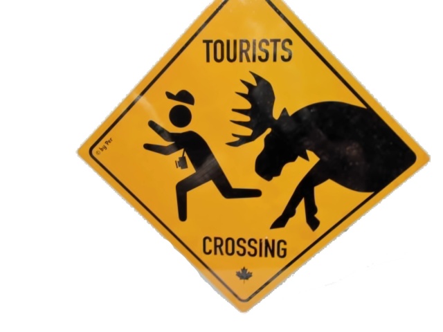 Metal Sign Tourists Crossing Moose
