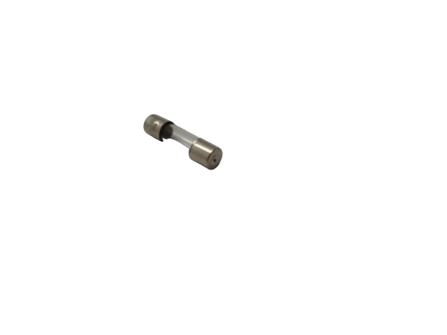 2 Amp European Fuse