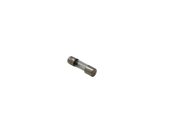 4 Amp European Fuse