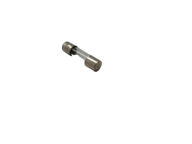 5 Amp European Fuse