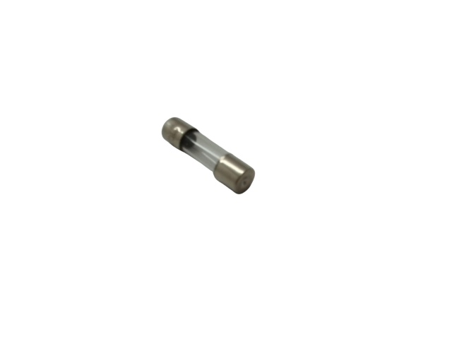 6 Amp European Fuse