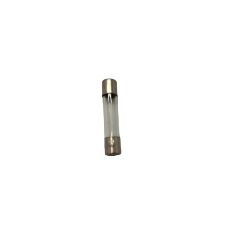 6 Amp Fuse