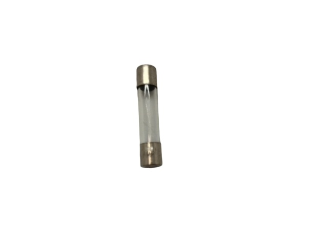 6 Amp Fuse