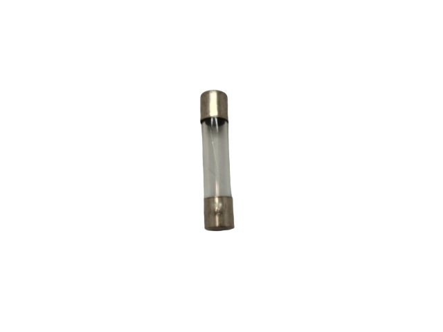 8 Amp Fuse