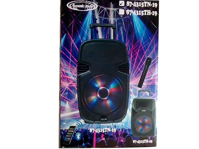 Active Speaker 15 TWS w/ Bluetooth & FM Acoustic Audio\
