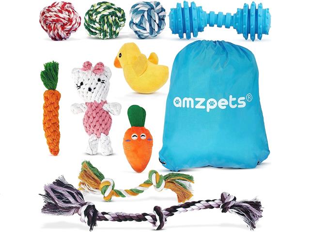 Set Of 10 Knotted Puppy Toys Asstd
