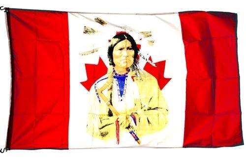 Flag 3x5Ft Native Indian