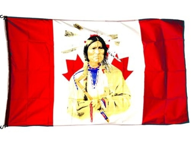 Flag 3x5Ft Native Indian