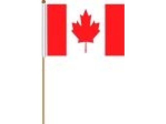 Flag Canada 4x6 inches polyester
